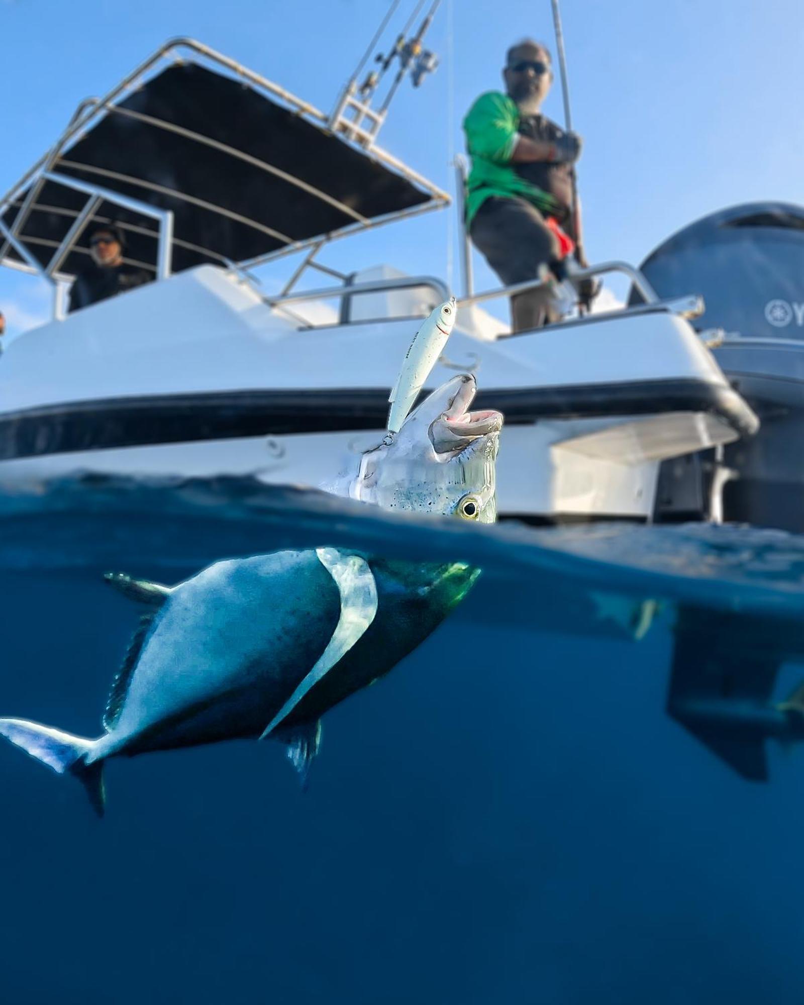 Nihaali Maldives 호텔 Kudarikilu 외부 사진