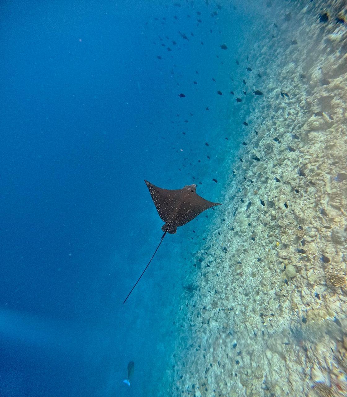 Nihaali Maldives 호텔 Kudarikilu 외부 사진